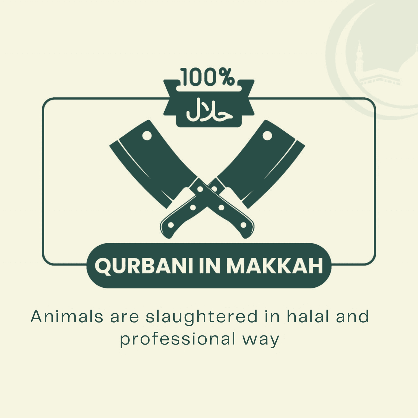 Sheep Qurbani in Makkah – Share the Blessing of Sacrifice