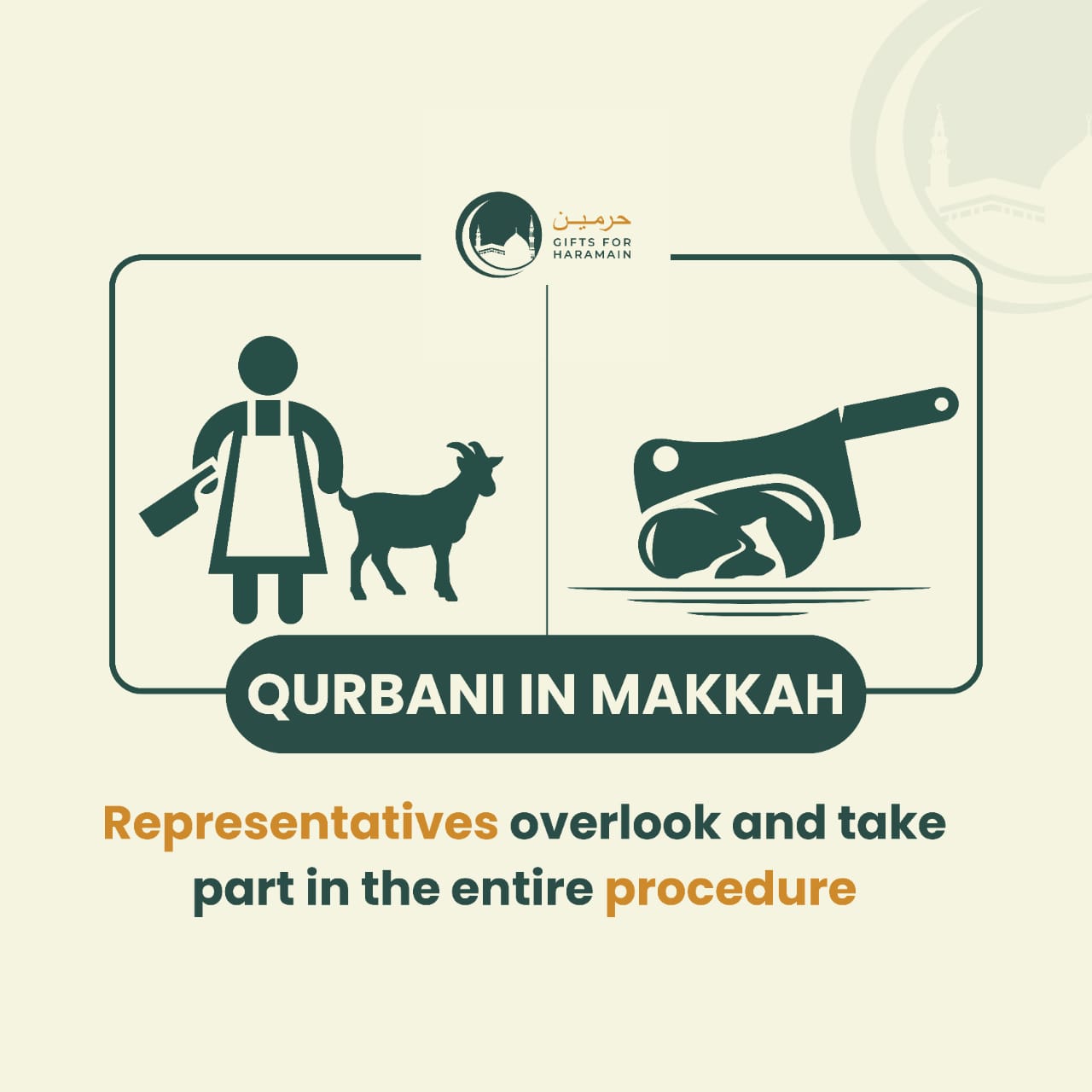 Sheep Qurbani in Makkah – Share the Blessing of Sacrifice